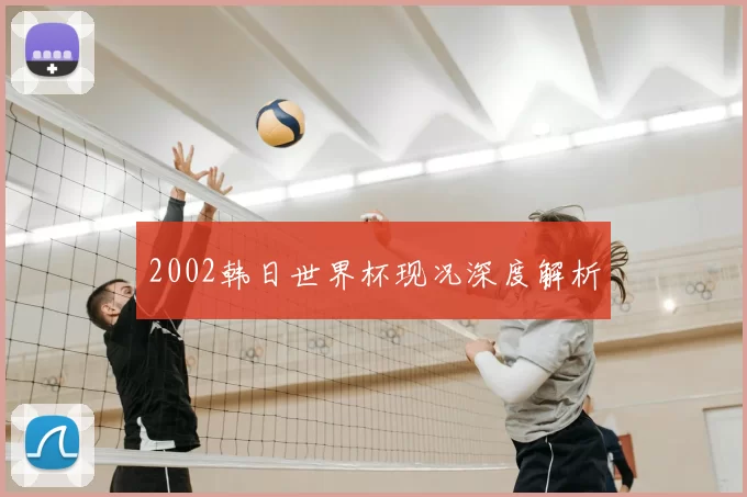 2002韩日世界杯现况深度解析