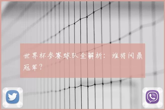世界杯参赛球队全解析：谁将问鼎冠军？