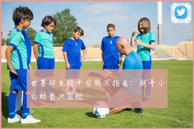 世界杯竞猜平台购买指南:新手小白的首次冒险