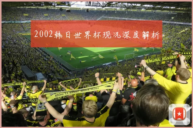 2002韩日世界杯现况深度解析