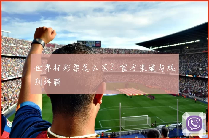 世界杯彩票怎么买?官方渠道与规则详解