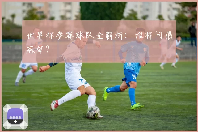 世界杯参赛球队全解析：谁将问鼎冠军？