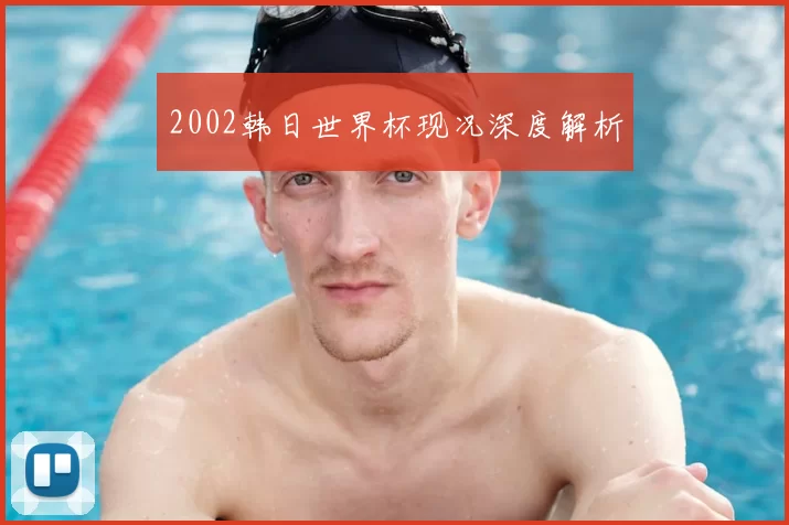 2002韩日世界杯现况深度解析