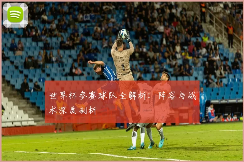 世界杯参赛球队全解析：阵容与战术深度剖析