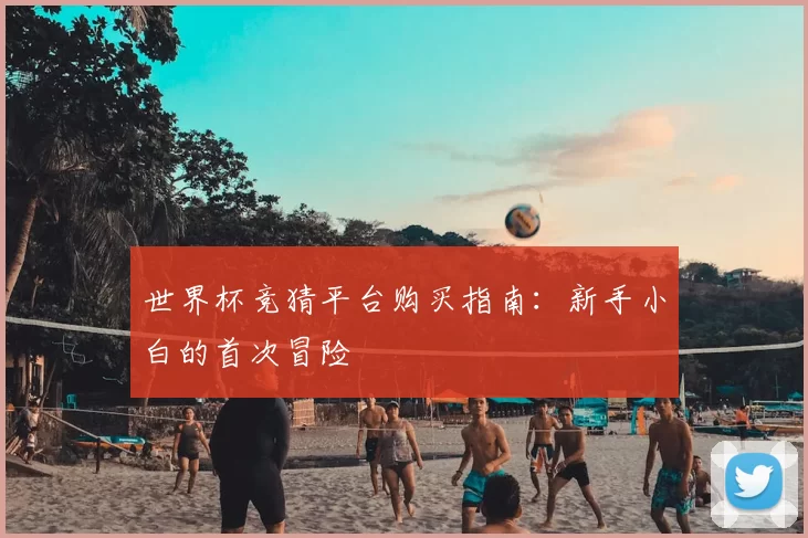 世界杯竞猜平台购买指南:新手小白的首次冒险