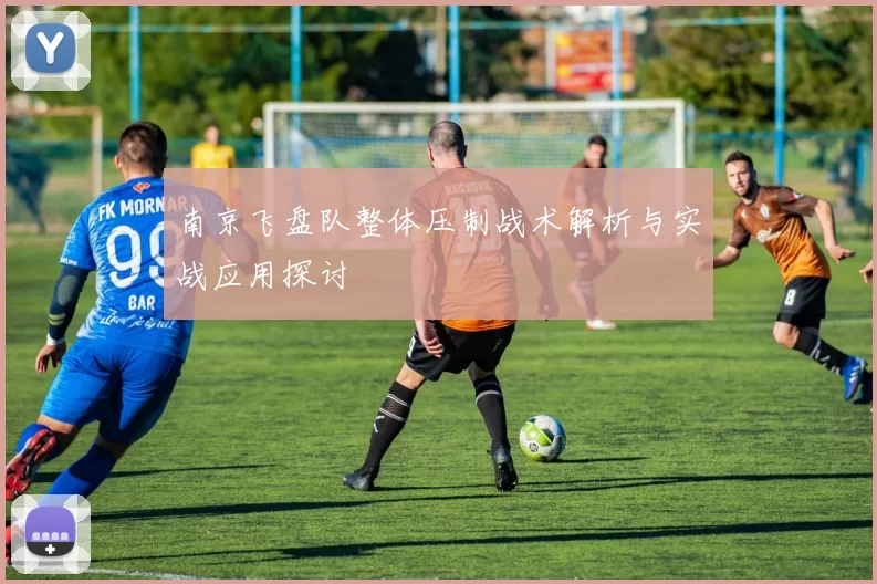 南京飞盘队整体压制战术解析与实战应用探讨